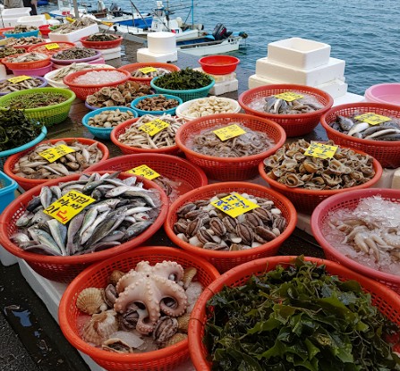 제주도 해산물 모습