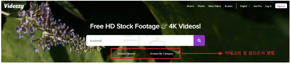 무료 동영상 소스 다운로드 사이트 비디지