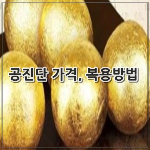 공진단 가격, 복용방법