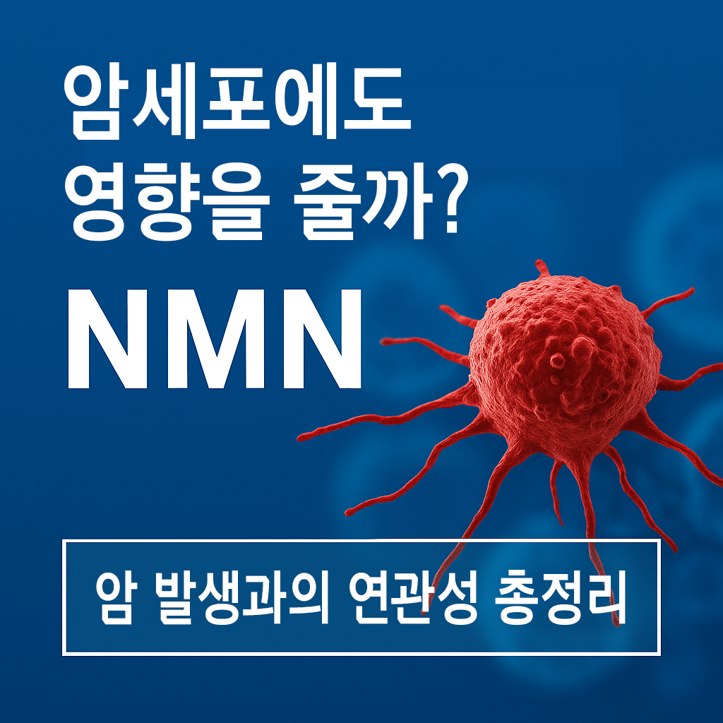 NMN이 암세포에도 영향을 줄까? 암 발생과의 연관성 총정리