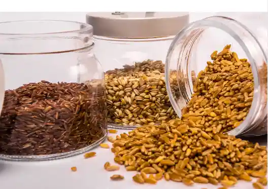 카무트 효능 효과 및 영양성분