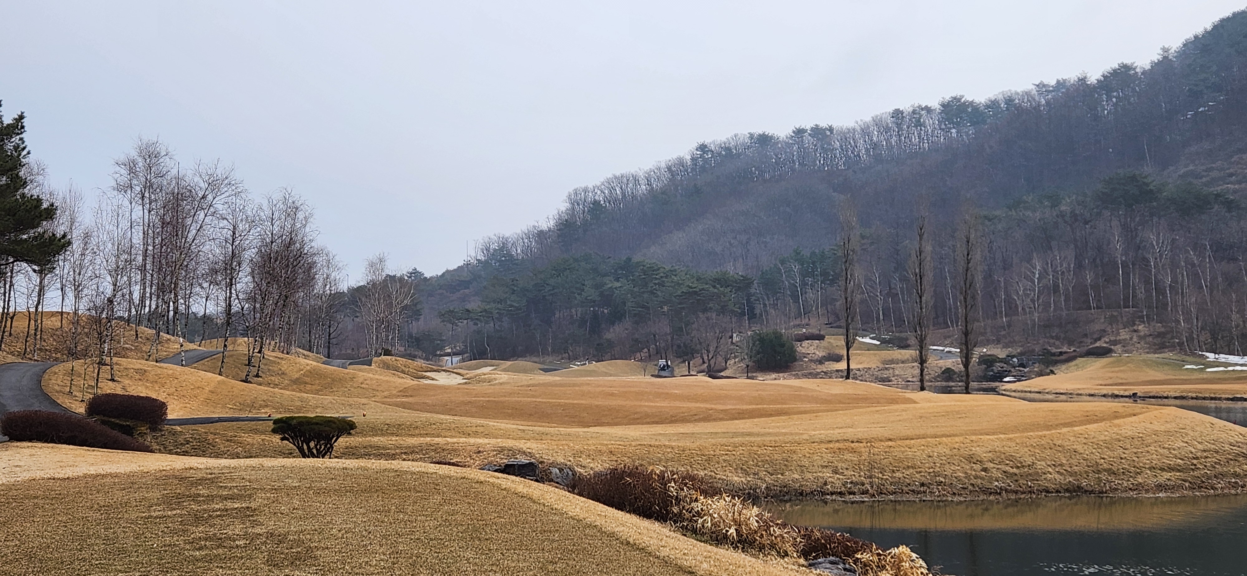 힐드로사이cc