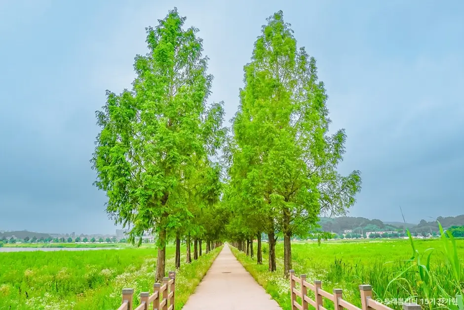 bf16a69b-e58e-4903-b6ee-a514ae890c4e