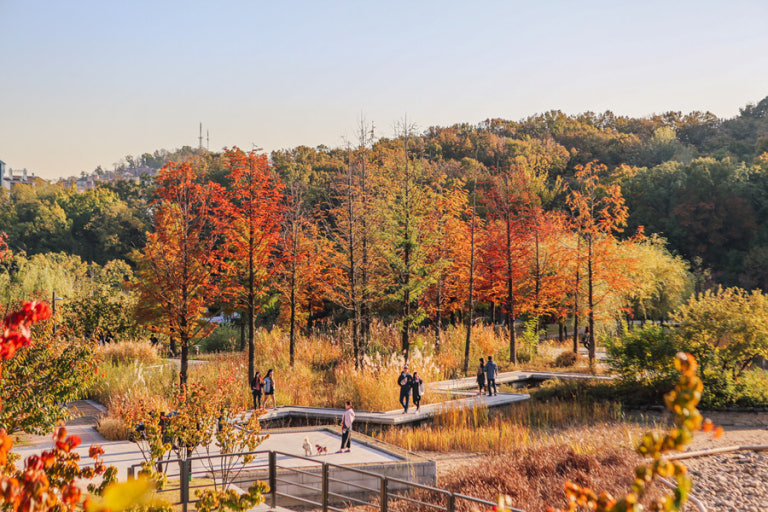 서울 단풍명소 TOP10 ❘ 2025 가을 여행 추천 스팟 총정리 관련 사진