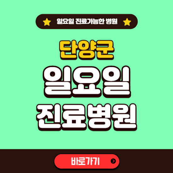 단양군 일요일 진료 가능한 병원 ❘ 주말 문여는 곳 총정리 (소아과, 내과, 안과, 치과, 피부과, 정형외과, 산부인과)