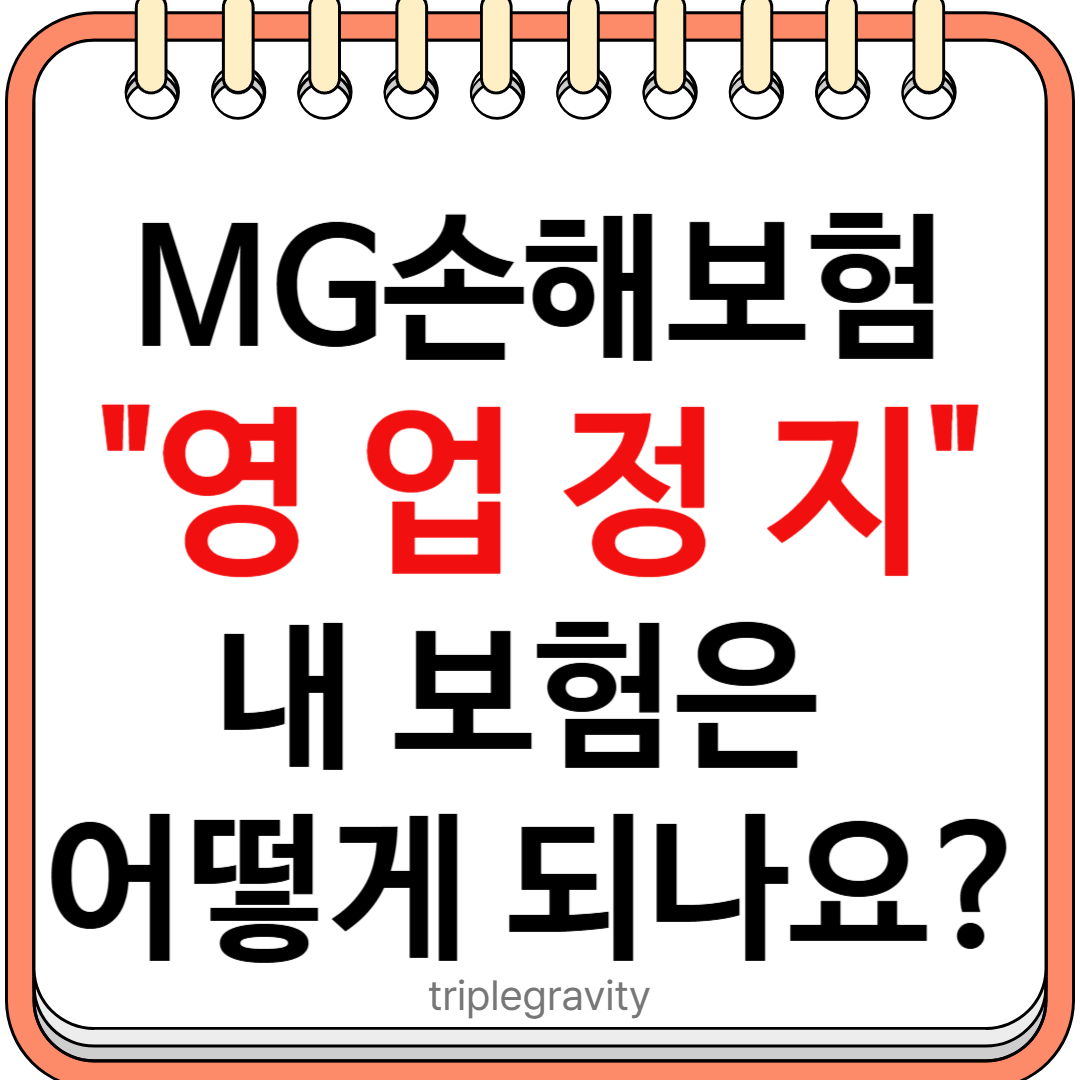 MG손해보험 파산 썸네일