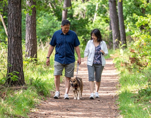 노인이 반려견과 함께 조용히 산책하는 모습