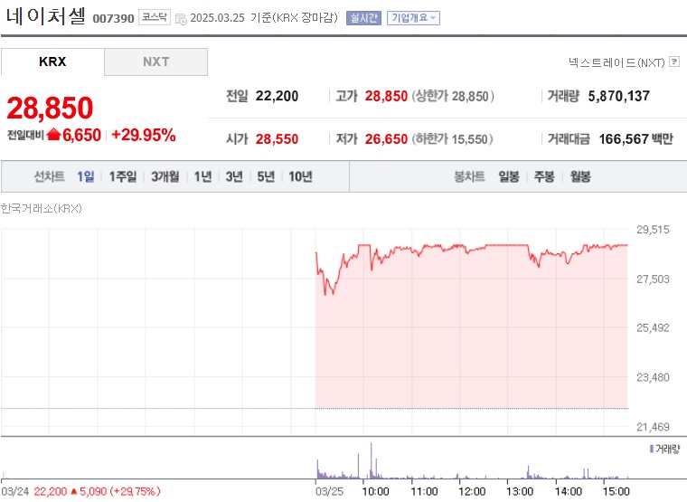 네이처셀 주가 (250325)