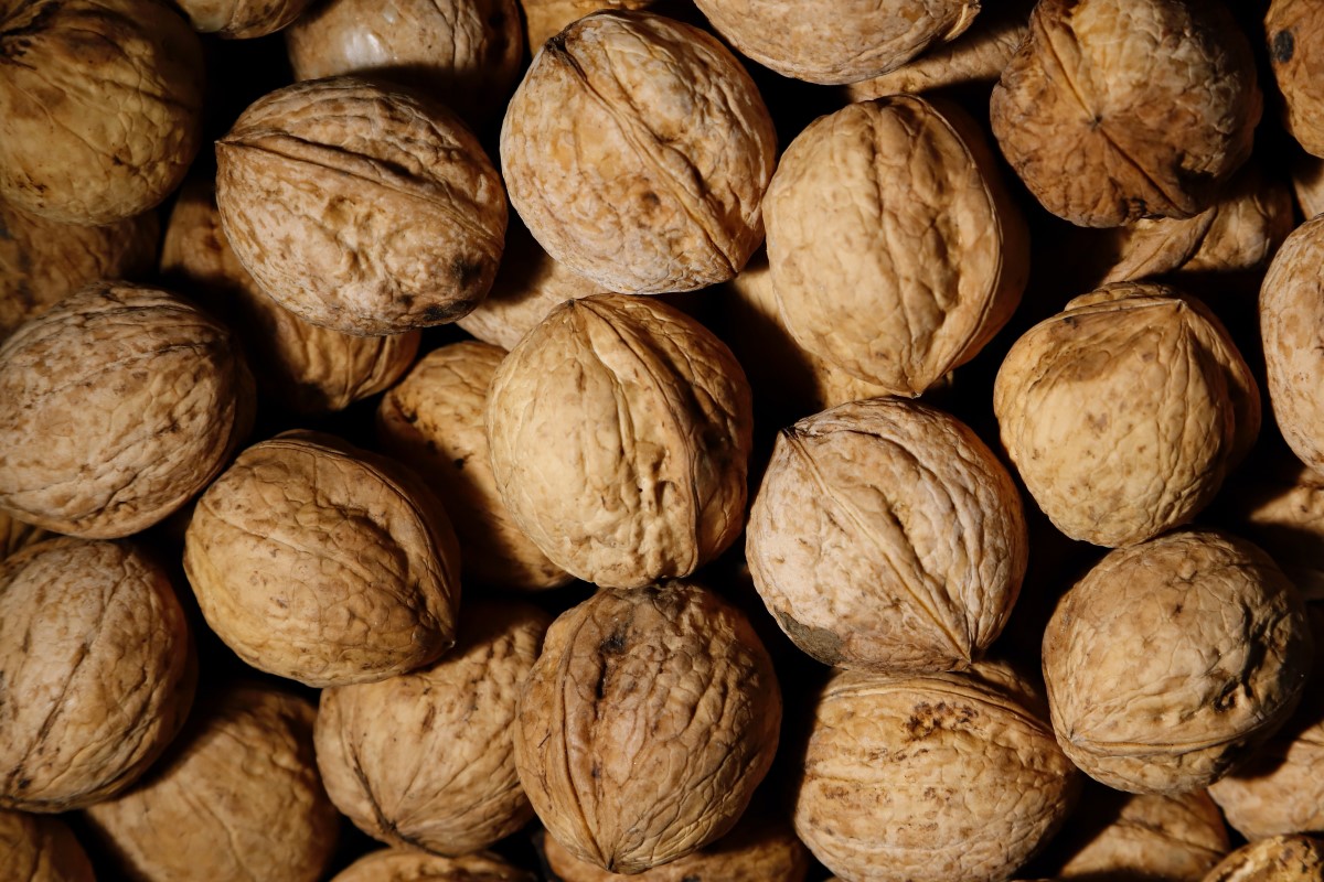 호두(Walnuts)