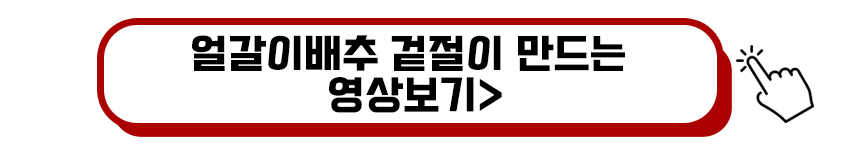 얼갈이배추 만드는 영상보기