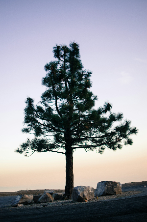화담숲 예약하기 (2025년 봄시즌 입장권)