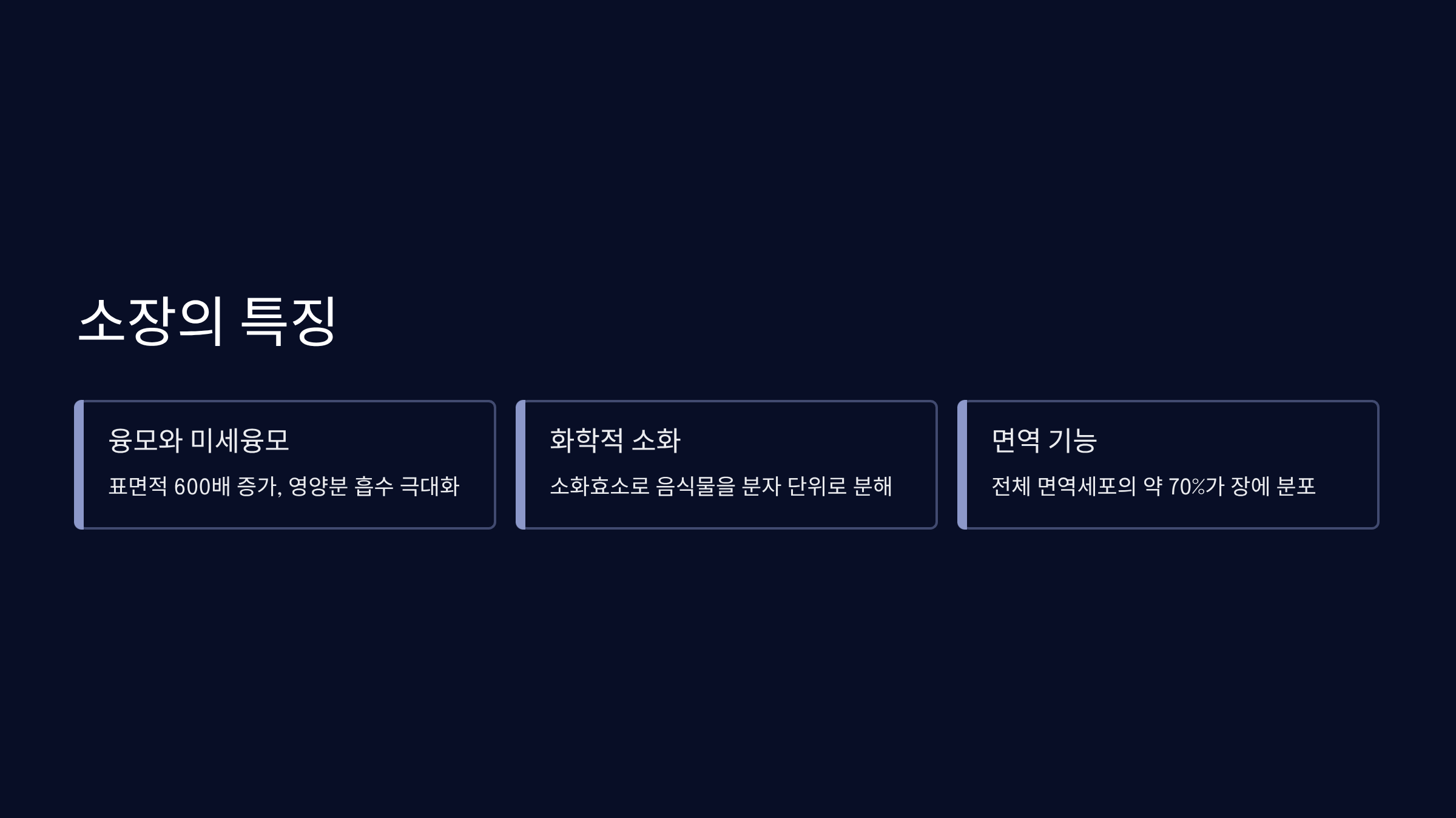 주요 기능과 역할 비교