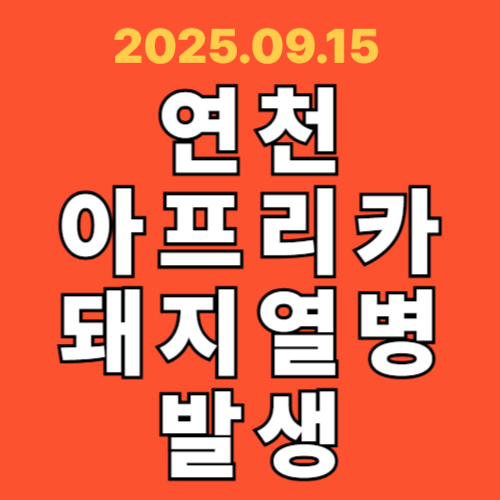 연천 아프리카 돼지열병 발생