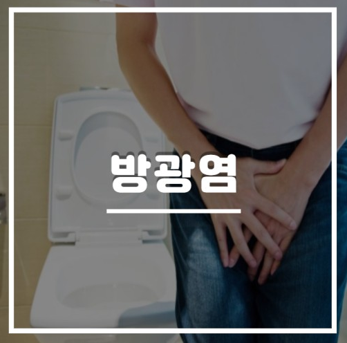 방광염 증상 여자 남자 방광염 증상