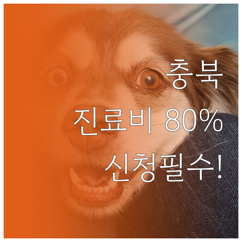 충북 중증장애인 반려동물 진료비 80..