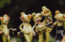 많은 개구리가 몰려오는 꿈