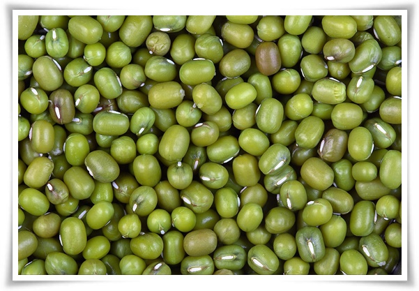 8월에 심기 좋은 텃밭 작물, 풍성한 수확을 위한 최고의 작물 추천