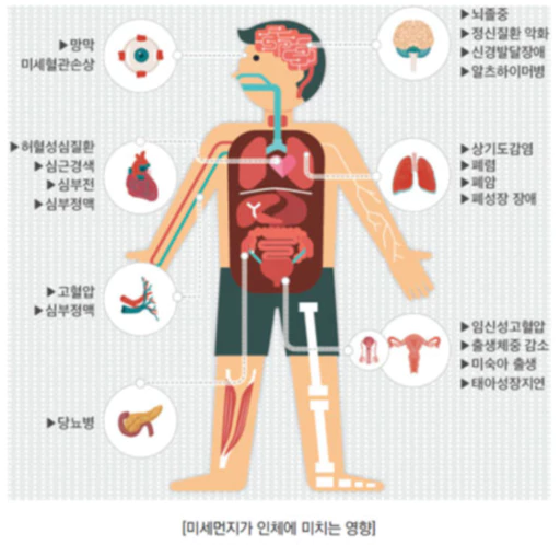 인체 그림과 미세먼지가 일으키는 병들