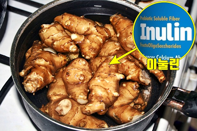 탁해진 피 고지혈증에 좋은 음식 돼지감자 효능,팁줌