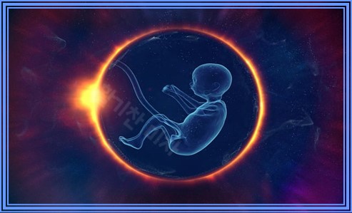 태아 발달과정 자세히 알아보자