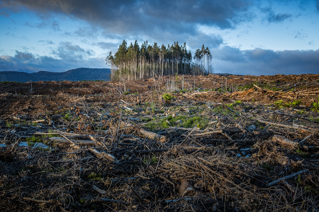 Forestry