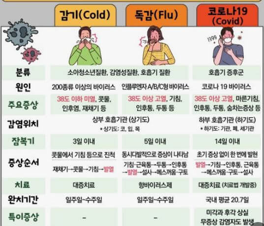 독감 증상