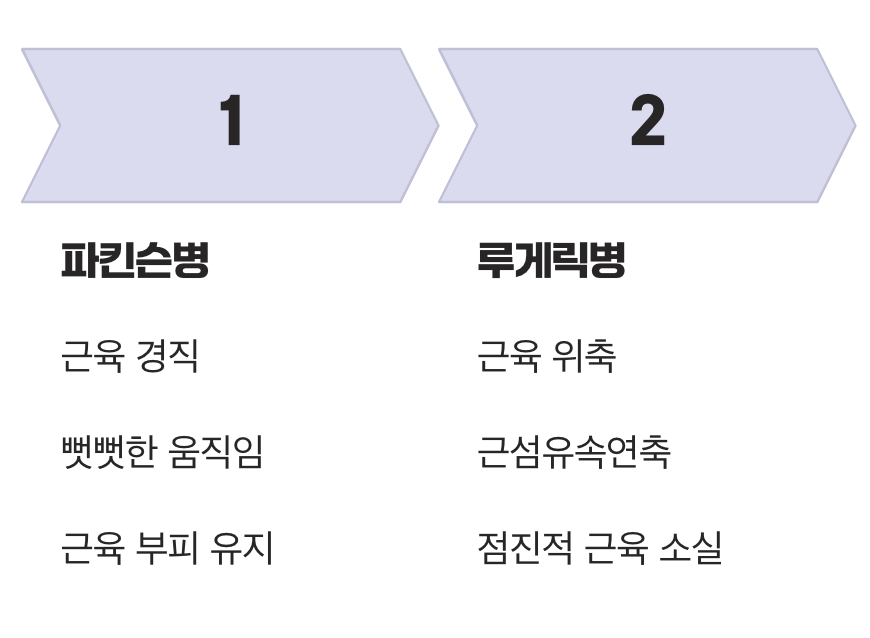결정적 차이 2: 몸이 '뻣뻣' vs 몸이 '말라감'