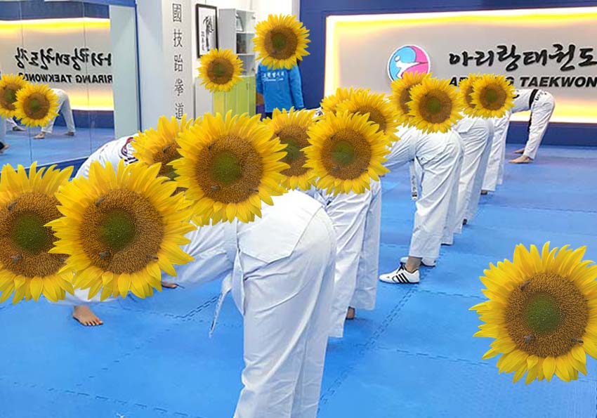 해바라기 꽃보다 태권도