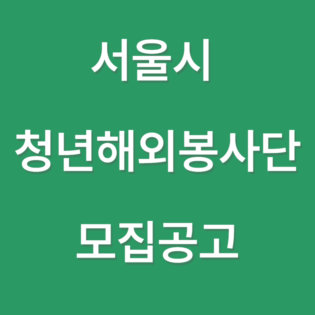 서울시 청년 해외봉사단
