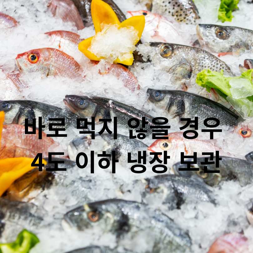 여름철 생선회 안전 섭취법