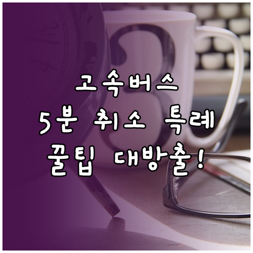고속버스 예매 후 5분 이내 취소 특..