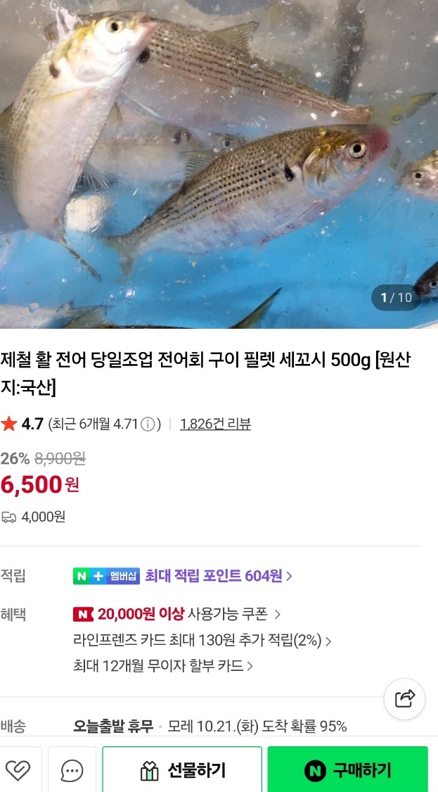 한국기행-낙동강-전어-부산-진목항-전어