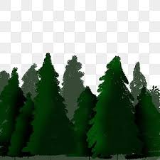 임업경영체 등록조건