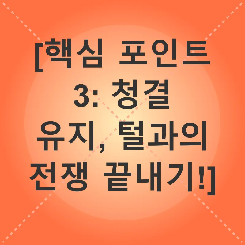 고양이 털 관리_3