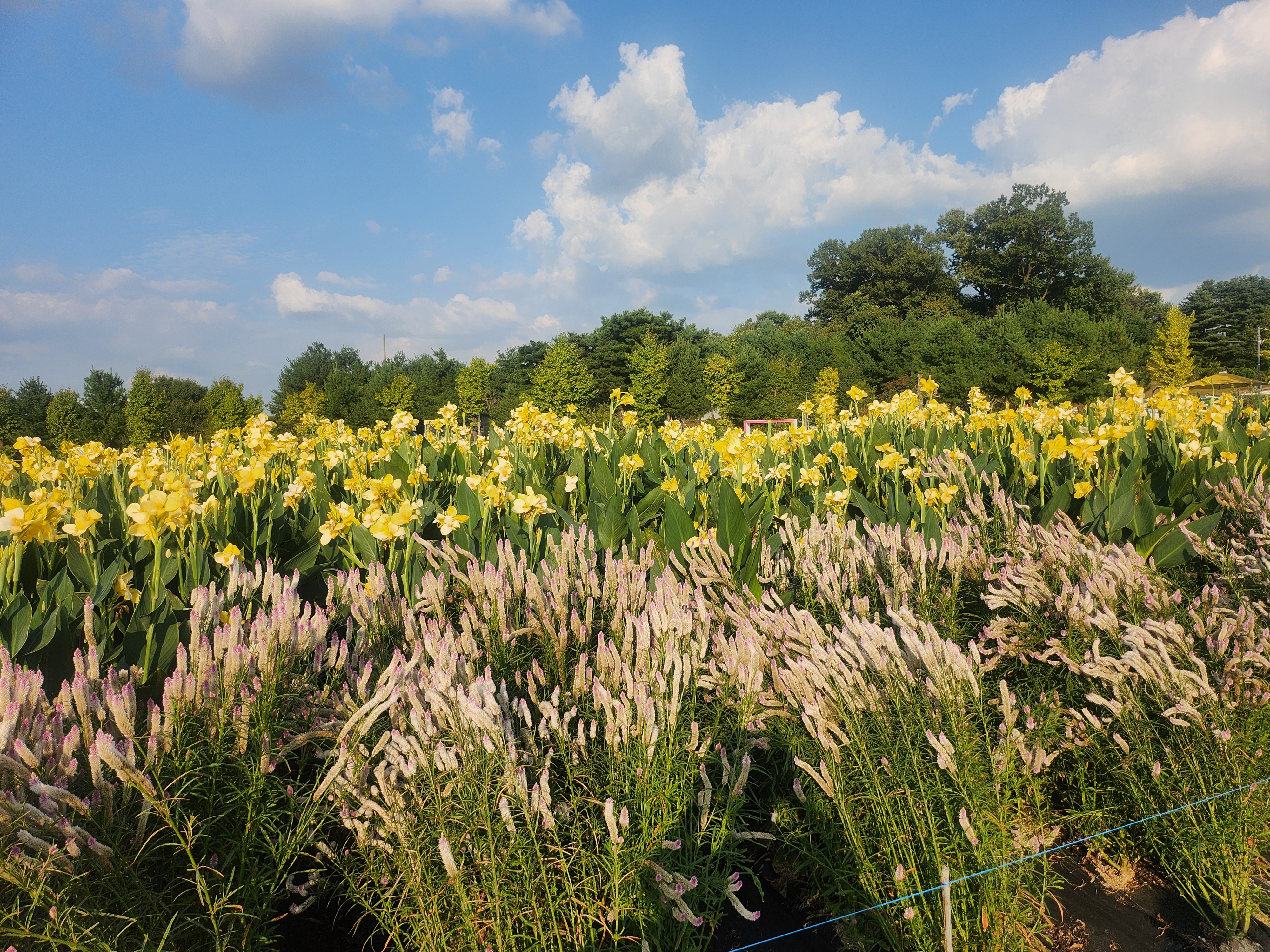 양주가볼만한곳