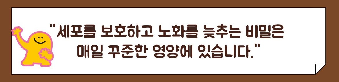 셀레늄 효능