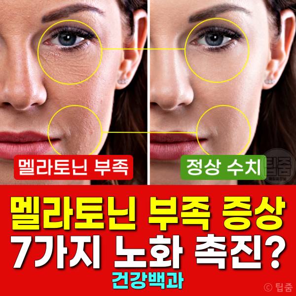 멜라토닌 부족 증상 노화 유방암 난소암 면역력 심장
