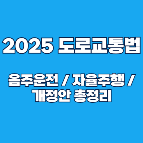 2025년 달라지는 도로교통법 개정안 총정리 (+음주운전, 고령운전자, 1종 자동면허)