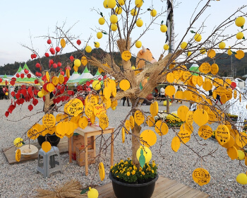 고흥 유자 축제_4