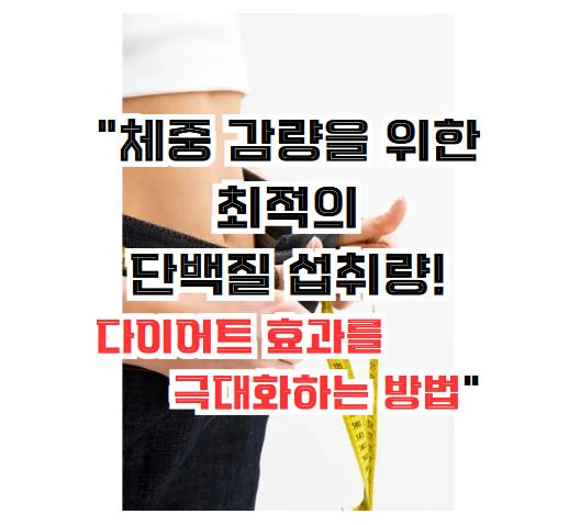체중 감량을 위한 최적의 단백질 섭취량! 다이어트 효과를 극대화하는 방법
