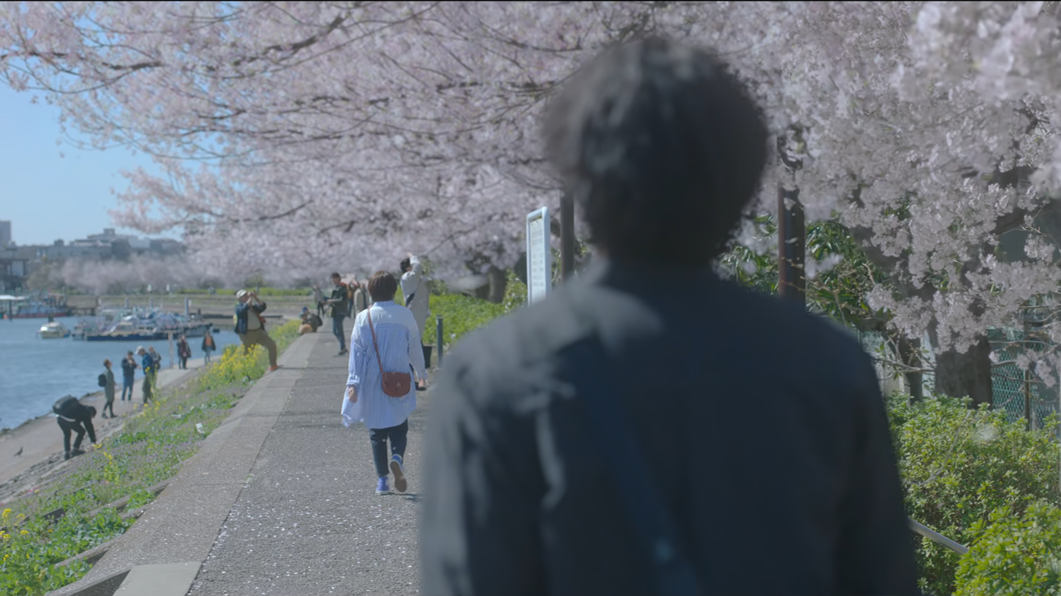 영화 벚꽃같은 나의연인 넷플릭스