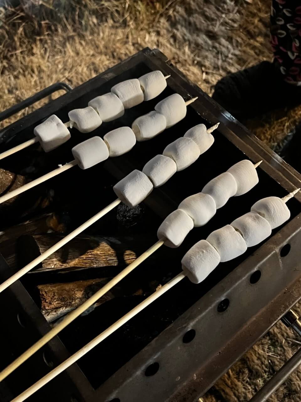 오늘N 나의 귀촌 일기 전남 나주 한옥 독채 숙소 촌캉스 봉하우스