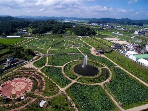 함안 연꽃테마파크