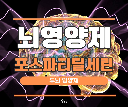 뇌 영양제