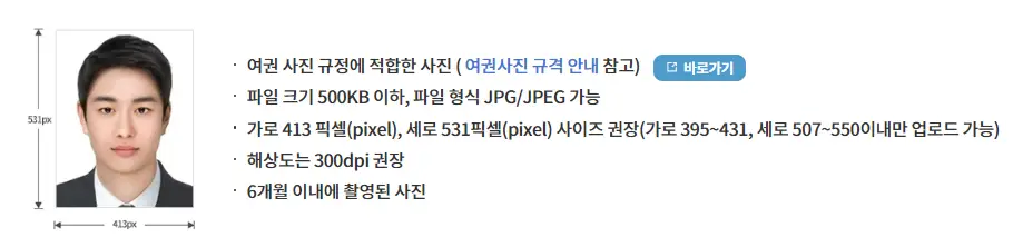 여권 사진 규격 예시