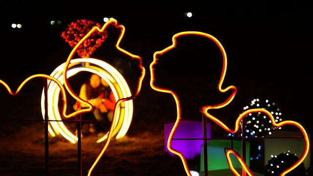 11월 서울 루미나리에 축제