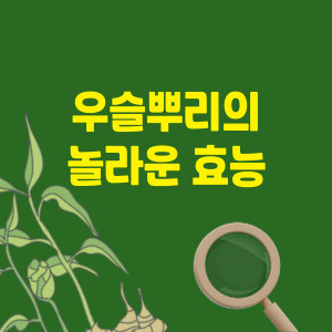 우슬뿌리-효능