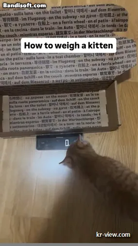 img.webp?credential=yqXZFxpELC7KVnFOS48ylbz2pIh7yKj8&expires=1767193199&allow_ip=&allow_referer=&signature=wT8DkbxWaEN4LVaRaZHNZ5Jf9P8%3D