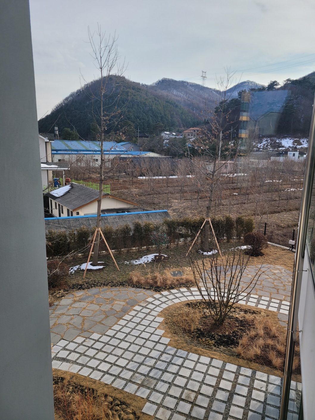 502 커피 로스터스 용인 내부에서 바라본 창밖