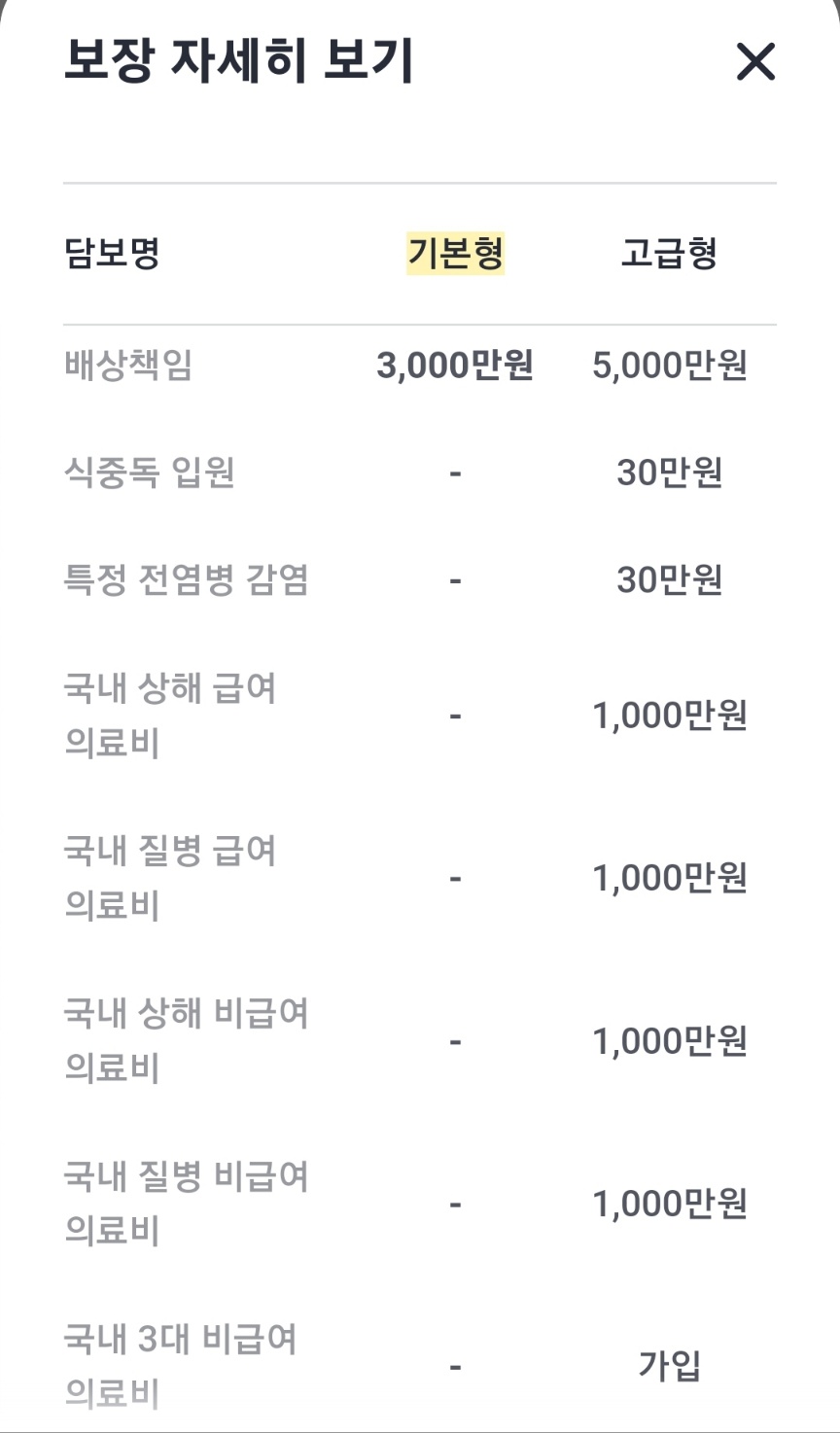 카카오페이 해외여행자보험 보장내용